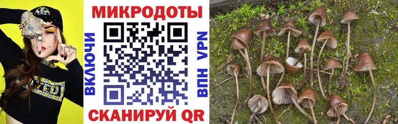 даркнет какой сайт  купить наркотики цена  OMG tor  Бирск  Псилоцибиновые грибы прущие грибы 